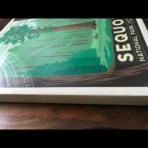 Wall decor sequoia national park